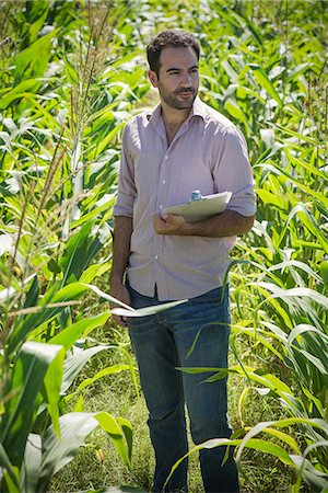 simsearch:649-08825150,k - Man examining crops in cornfield Foto de stock - Sin royalties Premium, Código: 632-08698576