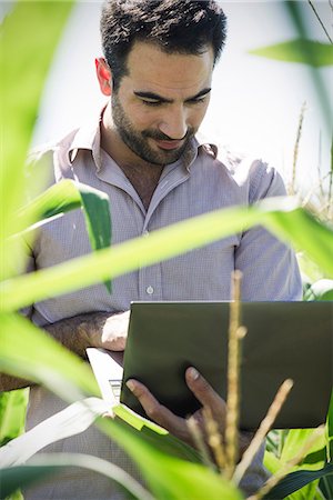 scientist laptop - Agricultural researcher collecting data in cornfield Stock Photo - Premium Royalty-Free, Code: 632-08698582