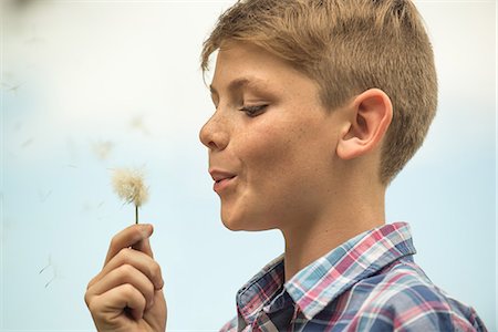 preteen photos - Boy blowing dandelion seedhead Stock Photo - Premium Royalty-Free, Code: 632-09021492