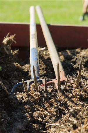 rastrellino - Gardening forks resting on bed of soil Fotografie stock - Premium Royalty-Free, Codice: 632-09039652