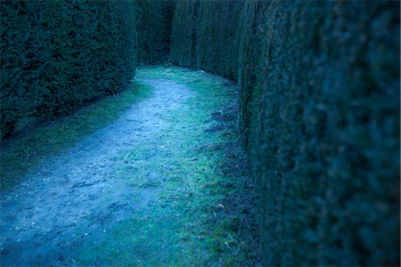 sentier - Path in hedge maze Photographie de stock - Premium Libres de Droits, Code: 632-09039857