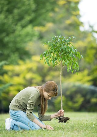 rimboschimento - Girl planting sapling Fotografie stock - Premium Royalty-Free, Codice: 632-01154473
