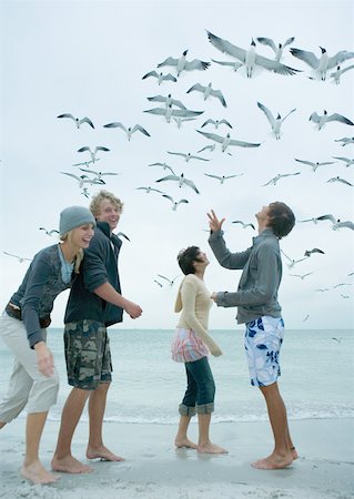 simsearch:633-02417937,k - Group of young friends feeding seagulls on beach Stock Photo - Premium Royalty-Free, Code: 632-01156598