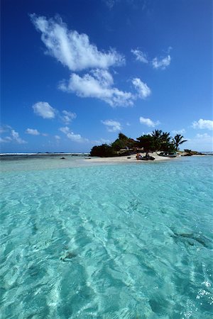 Antilles, Grenadines, Green Island Photographie de stock - Premium Libres de Droits, Code: 632-01158100