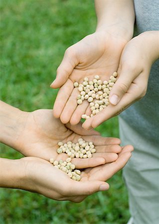 simsearch:633-02231743,k - One person pouring seeds into second person's hands Stock Photo - Premium Royalty-Free, Code: 632-01161381