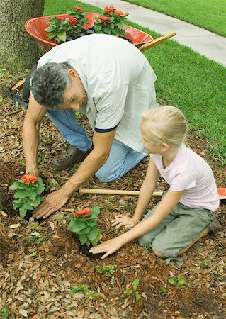 flower bending over - Man and girl planting flowers in yard together Stock Photo - Premium Royalty-Free, Code: 632-01161433