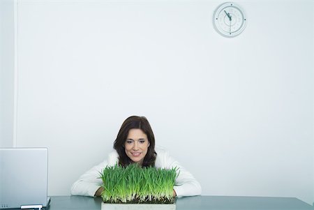 Businesswoman looking at tray of wheat grass Foto de stock - Sin royalties Premium, Código: 632-01271022