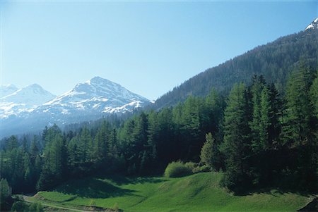 forest path panorama - France, Haute-Savoie, Chamonix Stock Photo - Premium Royalty-Free, Code: 632-01638095