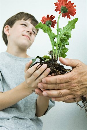 flowers roots - Boy holding flowers in cupped hands, low angle view Stock Photo - Premium Royalty-Free, Code: 632-01785217