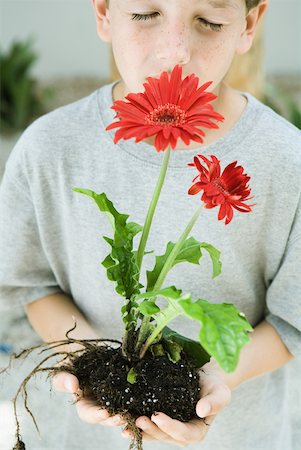 simsearch:695-03379369,k - Boy smelling uprooted flowers held in cupped hands, eyes closed Stock Photo - Premium Royalty-Free, Code: 632-01785226