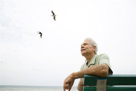 seagulls at beach - Senior man sitting on bench at beach, looking up, smiling Stock Photo - Premium Royalty-Free, Code: 632-01785337
