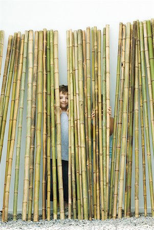 simsearch:632-05845347,k - Brother and sister standing behind bamboo, boy smiling at camera, girl hiding Stock Photo - Premium Royalty-Free, Code: 632-02227779