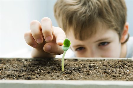 finger pointing and touching not illustration and one person - Boy touching seedling, cropped view Stock Photo - Premium Royalty-Free, Code: 632-02227815