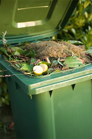 Compost in garbage can Foto de stock - Sin royalties Premium, Código: 632-02690434
