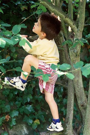 Little boy climbing tree Foto de stock - Sin royalties Premium, Código: 632-02744712