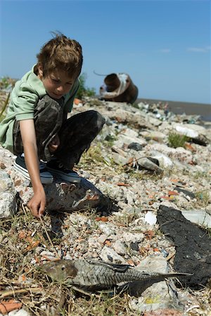 south american earth pictures - Boy crouching on polluted shore, poking dead fish with stick Stock Photo - Premium Royalty-Free, Code: 632-02745092