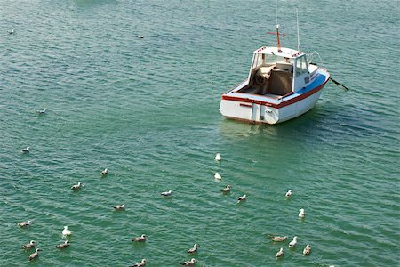 Flock of gulls resting in sea, small boat anchored nearby Stock Photo - Premium Royalty-Free, Code: 632-02885051