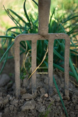 rastrellino - Gardening fork, close-up Fotografie stock - Premium Royalty-Free, Codice: 632-02885554