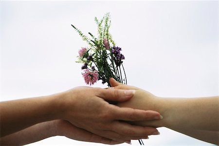 simsearch:625-02265907,k - Adult handing young person bouquet of wildflowers, close-up Stock Photo - Premium Royalty-Free, Code: 632-03027006