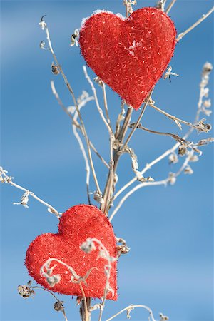 simsearch:632-03027615,k - Heart shaped ornaments on dried plant stalk Foto de stock - Royalty Free Premium, Número: 632-03027572