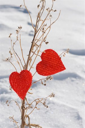 Heart shaped ornaments on dried plant stalk Stock Photo - Premium Royalty-Free, Code: 632-03027581