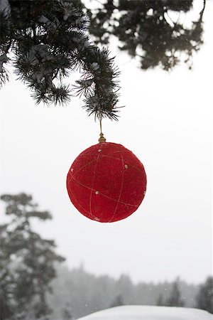 simsearch:632-06354232,k - Ornement de Noël rouge accroché à une branche à feuilles persistantes Photographie de stock - Premium Libres de Droits, Code: 632-03027594