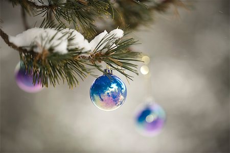 simsearch:632-03027631,k - Christmas ornaments hanging from tree branch dusted with snow Stock Photo - Premium Royalty-Free, Code: 632-03027599