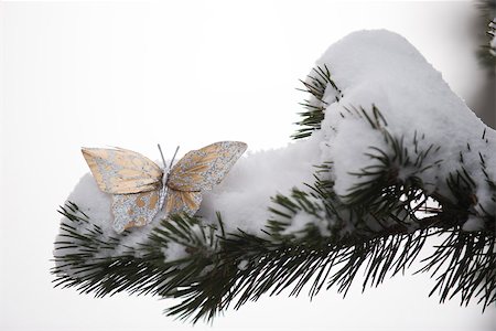 seasons changing - Golden decorative butterfly on snow-covered branch Stock Photo - Premium Royalty-Free, Code: 632-03027632