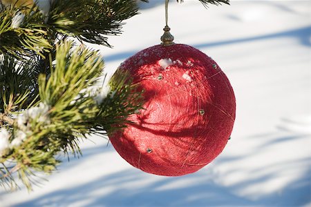 simsearch:632-03027615,k - Red Christmas ornament hanging from evergreen branch, snow in background Foto de stock - Royalty Free Premium, Número: 632-03027644