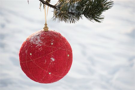 simsearch:632-06354232,k - Ornement de Noël rouge accroché à une branche à feuilles persistantes, neige en arrière-plan Photographie de stock - Premium Libres de Droits, Code: 632-03027641