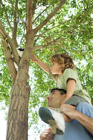 father helping kid reach - Father helping son retrieve soccer ball stuck in tree Stock Photo - Premium Royalty-Free, Code: 632-03516984