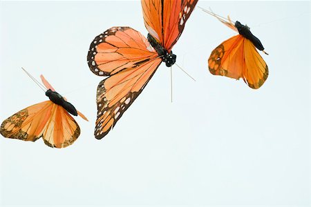 fake butterflies - Papillons artificiels Photographie de stock - Premium Libres de Droits, Code: 632-03630258