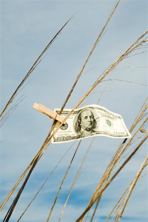 simsearch:632-06118127,k - One hundred dollar bill hung on tall grass with clothes pin Foto de stock - Sin royalties Premium, Código: 632-03630262
