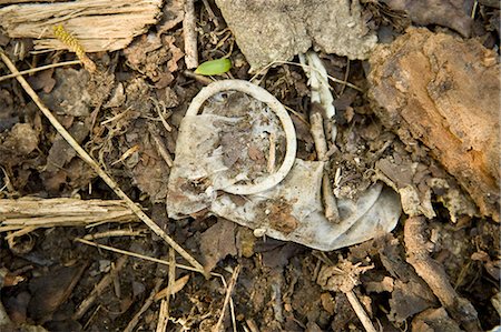 environmental pollution of garbage - Used condom on the ground Stock Photo - Premium Royalty-Free, Code: 632-03651657