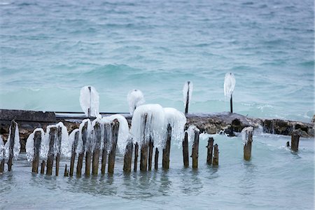 simsearch:632-03651869,k - Ice covering stumps sticking out of lake Fotografie stock - Premium Royalty-Free, Codice: 632-03651871