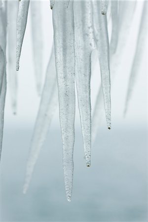 stalactite (de glace) - Icicles, close-up Foto de stock - Sin royalties Premium, Código: 632-03651885
