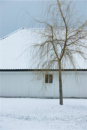 simsearch:632-03651869,k - Bare tree and house in winter Fotografie stock - Premium Royalty-Free, Codice: 632-03651901