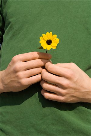 rudbeckia - Male holding flower Stock Photo - Premium Royalty-Free, Code: 632-03652293