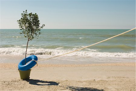 simsearch:632-03630281,k - Rope attached to life belt encircling tree growing at water's edge on beach Stock Photo - Premium Royalty-Free, Code: 632-03754441