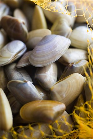 simsearch:632-03754225,k - Sack of fresh clams Stock Photo - Premium Royalty-Free, Code: 632-03754633