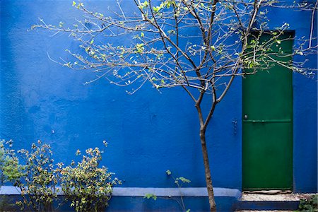 doors in mexico - Tree growing in courtyard Stock Photo - Premium Royalty-Free, Code: 632-03779419