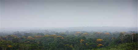 french guiana - Amérique du Sud, région amazonienne Photographie de stock - Premium Libres de Droits, Code: 632-03779446