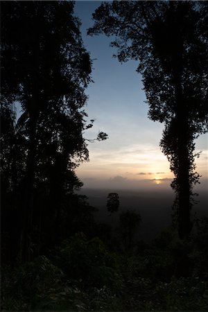 simsearch:632-03779514,k - Sun setting over tropical rainforest Stock Photo - Premium Royalty-Free, Code: 632-03779470