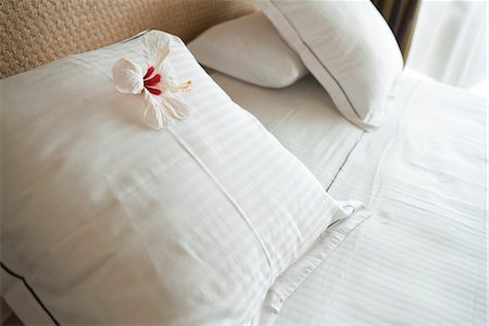 pillows in hotel room - White hibiscus flower head on pillow Stock Photo - Premium Royalty-Free, Code: 632-03897806