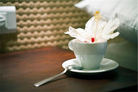 Fleur d'Hibiscus dans une tasse de thé Photographie de stock - Premium Libres de Droits, Code: 632-03898094