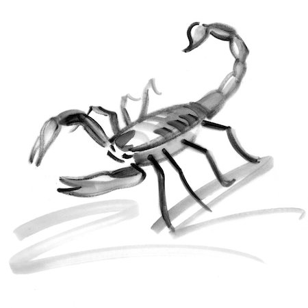 scorpion illustration - Scorpio astrological sign, illustration Stock Photo - Premium Royalty-Free, Code: 632-03898255