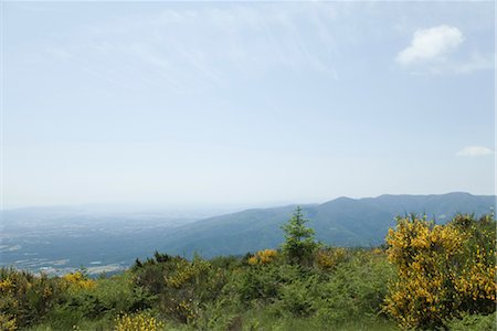 Gebirge und Tal, erhöhte Ansicht Stockbilder - Premium RF Lizenzfrei, Bildnummer: 633-05401544