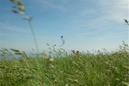 flying kites pictures - Person flying kite in field Stock Photo - Premium Royalty-Free, Code: 633-05401644