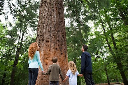 simsearch:6102-03905944,k - Family standing together at base of tall tree, holding hands, rear view Fotografie stock - Premium Royalty-Free, Codice: 633-05401752