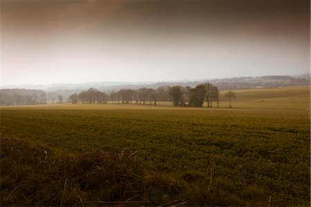 farm grass - Meadow with trees and mountains in background Stock Photo - Premium Royalty-Free, Code: 633-05401965